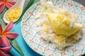 Yellow durian with sweet sticky rice and coconut milk. Thai dessert style
