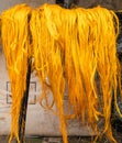 Yellow dyed sisal ready for weaving into baskets