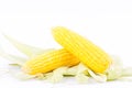 Yellow ear of sweet corn on cobs kernels or grains of ripe corn on white background vegetable isolated Royalty Free Stock Photo