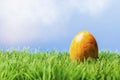 Yellow easter egg in grass, blue background Royalty Free Stock Photo