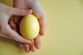 Yellow Easter egg in the Palm of your hand