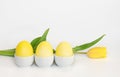 Yellow Easter eggs on a stand and a tulip flower on a white background. Easter composition. Copy space Royalty Free Stock Photo