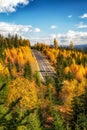 Yellow Eauropean larch trees in colorful autumn forest with empty asphalt road