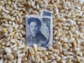 Japan, maize consuming country, heap of corn grains and japanese banknote of 1000 yen