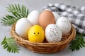 Yellow egg feeling sad among different eggs in nest Royalty Free Stock Photo