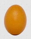 Yellow chicken egg on transparent background, png