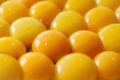 Yellow egg yolks on a plate Royalty Free Stock Photo