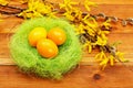 Yellow eggs in nest