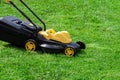 Electric grass mower trimming green lawn