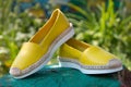 Yellow espadrilles on a green background