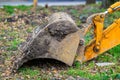 Yellow excavator bucket digging on grass with fallen leaves Royalty Free Stock Photo