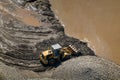 Yellow Excavator cleans up the silt in the Yangtze River