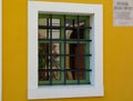 Yellow exterior wall detail with white window trim and old green wooden window Royalty Free Stock Photo