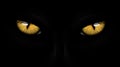 Yellow eyes black Panther