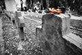 Yellow fallen autumn leaf on world war 1 hero grave