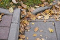 Yellow fallen leaves near the steps on the path, the change of season, beautiful and dry autumn. colored paints in plants. change Royalty Free Stock Photo