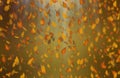 Yellow oak leaves autumn brown background. Royalty Free Stock Photo