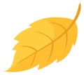 Yellow falloing leaf. Cartoon autumn sesaon symbol Royalty Free Stock Photo