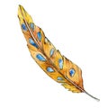 Yellow feater. Watercolor bird feather from wing isolated. Aquarelle feather for texture. Background set.