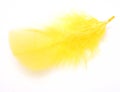 Yellow feather Royalty Free Stock Photo