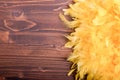 Yellow feather boa on a brown board left space for text Royalty Free Stock Photo