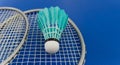 Yellow feather shuttlecock on badminton racket Royalty Free Stock Photo