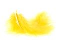Yellow feather on white Royalty Free Stock Photo
