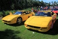Yellow Ferrari sports car lineup at outdoors event