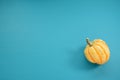 Yellow Festival squash on a teal wooden background