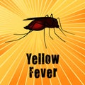 Yellow Fever, Blood-filled Mosquito, Gold Ray Background