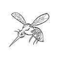 Yellow Fever Mosquito or Aedes Aegypti Flying Mascot Retro Black and White Style