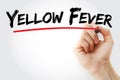 Yellow Fever text with marker