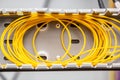 Yellow fiber optic cables coiled into a spool in an organizer. Horizontal orientation. Royalty Free Stock Photo