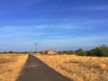 Yellow field and blue sky, road in Indian countryside, travel by bike