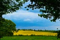 Yellow field and blue sky view via green tree arch