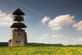 The yellow field with dandelions