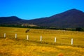 Yellow field in the contry Royalty Free Stock Photo