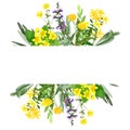 Yellow field flowers, watercolor stripe banner, hand drawn