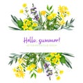 Yellow field flowers, watercolor stripe banner, hand drawn