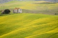 Yellow field and old casale Royalty Free Stock Photo