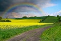 Yellow field in bloom with sky and rainbow Royalty Free Stock Photo