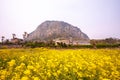 Beyond the sea Mountain. jeju Sanbangsan in south korea.