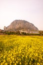 Beyond the sea Mountain. jeju Sanbangsan in south korea.