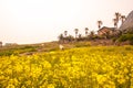 Beyond the sea Mountain. jeju Sanbangsan in south korea.