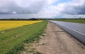 Yellow field sown with rape. Royalty Free Stock Photo