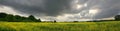 Yellow field before the storm Royalty Free Stock Photo
