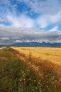 Yellow fields, clouds and mountains.