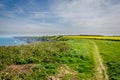Yellow fields and coastlne in Normandy, hiking path