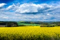 Yellow fields, flowers of rape, colza. Agriculture, spring in Czech Republic