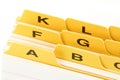 Yellow file divider